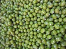 New Crop Green Mung Beans