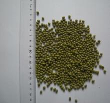2013 New Crop Sprouts green mung bean