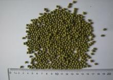 Mung Beans