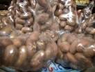 bitter garcinia