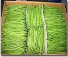 green bean