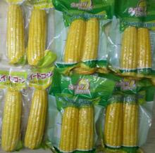 sweet corn cob