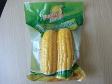 vacuum package sweet  corn   cob 