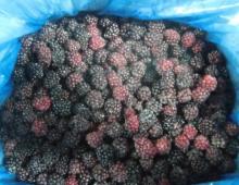  frozen   blackberry 