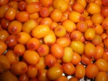 frozen sea buckthorn