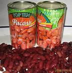 CANNED  RED  KIDNEY  BEAN S IN TOMATO  PASTE 