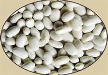 long white kidney beans