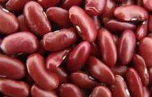 dard red kidney beans,dried beans