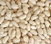 Blanched peanut kernels Blanched peanut kernels