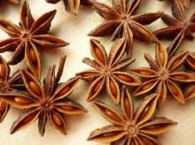 AUTUM STAR ANISEED