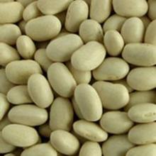 White Kidney Bean For Sale