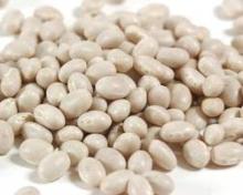 Chinese large white kidney beans