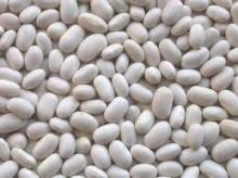 New Crop Navy Bean  Small   White   Beans 