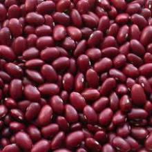 Dark Red Kidney Beans New Crop, Red Kidney Beans