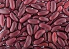  Red   kidney   bean   british   type 