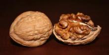 Walnut in Shell
