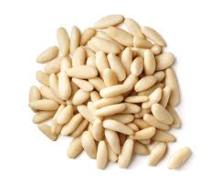 Pine Nut Kernels