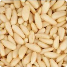  Pine  nuts, kernel   seed 
