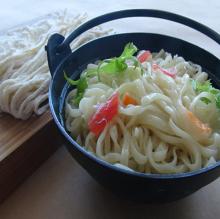 Frozen and Fresh Janapese Udon Noodle