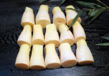Suifu Boiled Bamboo Shoots