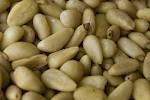 Pine Nuts , Melon Seeds , Pecan Nuts , Macadamia Nuts