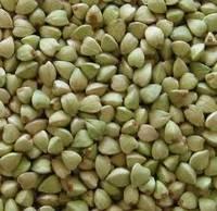 Raw Buckwheat Kernel