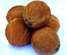 Fully Husked Coconut