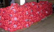 ONION