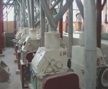  Wheat   milling  machine