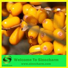Frozen Seabuckthorn