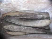 Frozen Catfish