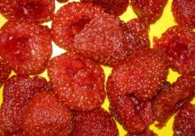 Sugar Infused  Dried   Strawberry   Whole 