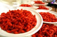 Wolf berry/goji berry