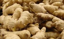 DRY GINGER