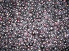 Frozen Blackcurrants (NL)