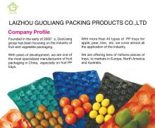 China Suplier/SGS/For  Fruit / Disposable  Tray s