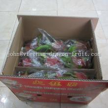 Vietnam dragon fruit