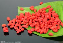 high quality certified goji berry