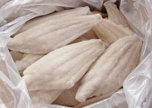 IQF channel catfish fillets 100% net weight