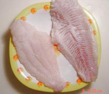 Fresh IQF channel catfish fillets