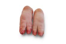 Pork Front Feet toes on - DE 10848
