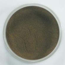 Chaga polysaccharides