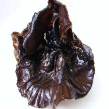 Auricularia auricula polysaccharide