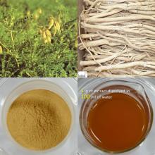  Astragalus   polysaccharide s