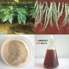 Ginseng Polysaccharide
