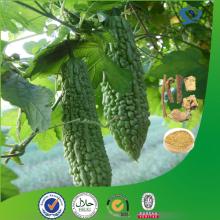 100% pure bitter melon extract powder