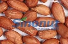 PEANUT KERNEL LONG TYPE