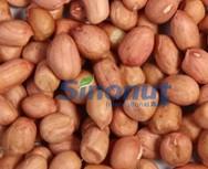 PEANUT KERNEL ROUND TYPE