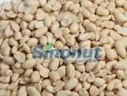 BLANCHED  PEANUT  KERNEL  ROUND   TYPE 