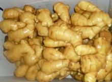 Fresh Ginger 2012crop